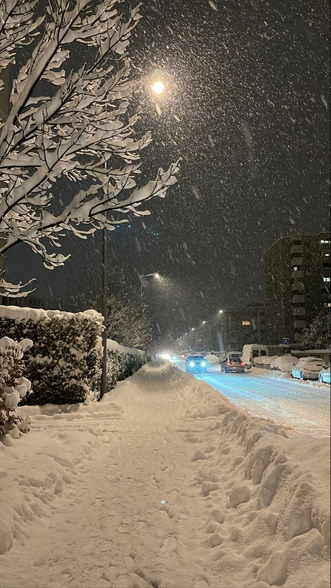 Snowing | Winter pictures, Winter wallpaper, Winter scenery