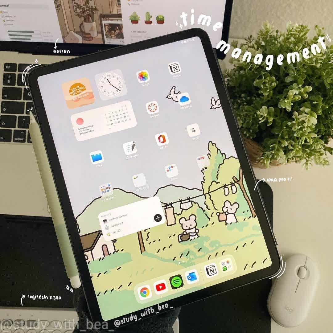 @studywithbeo